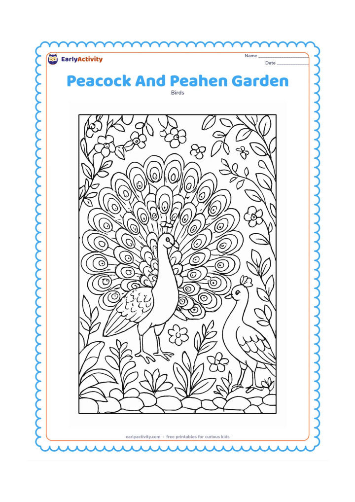 Colouring page: A male peacock spreads his train beside a peahen in a richly planted garden. Include climbing vines, flowers, broad leaves, a stone border, and clearly different tail shapes for both birds.