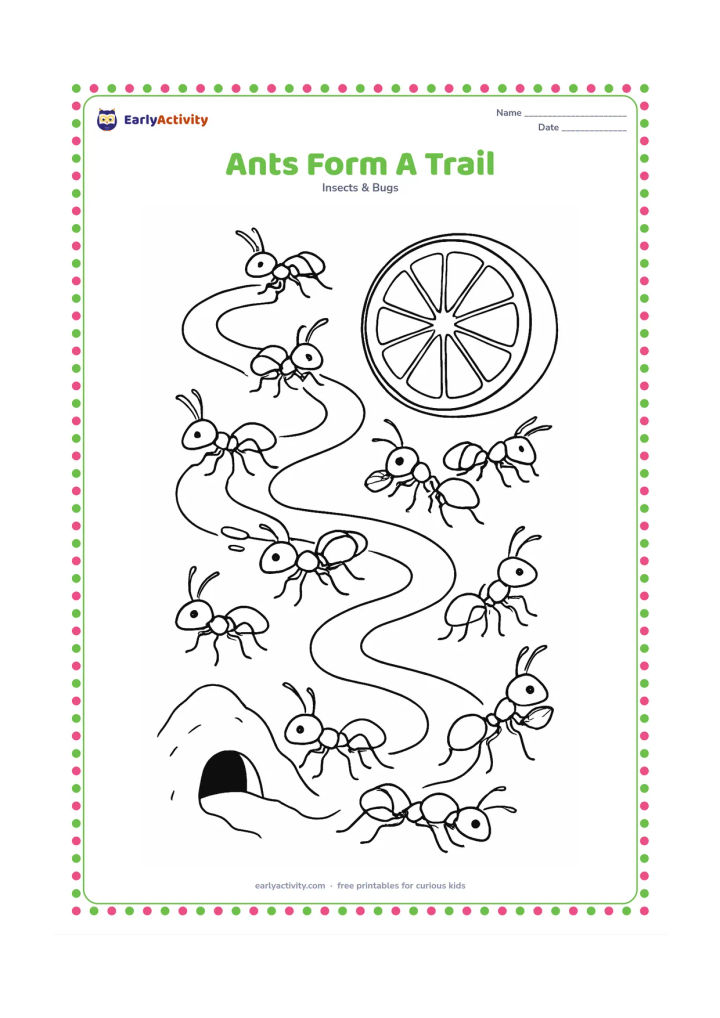 Colouring page: Many ants follow a winding scent trail from an anthill to a fallen orange slice. Show several ants touching the ground with their feelers and others carrying pieces back.