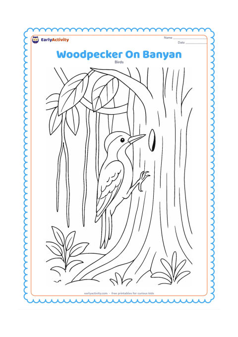 Colouring page: A woodpecker clings to the broad trunk of a banyan tree, pecking near a small bark opening. Include a few hanging aerial roots, large leaves and simple ground plants.