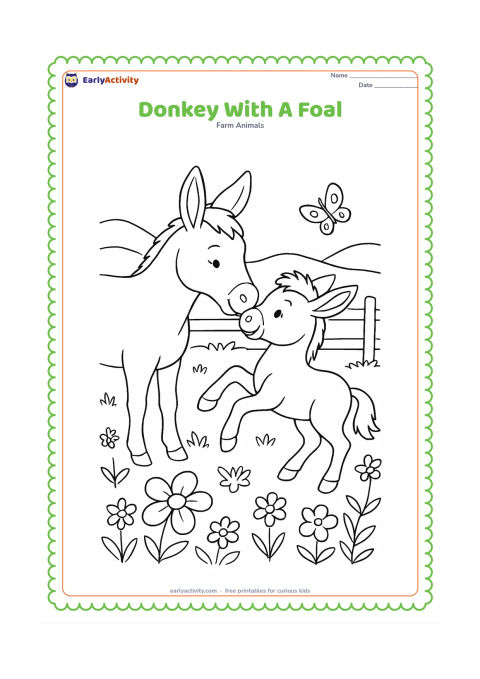 Colouring page: An adult donkey gently nuzzles a playful foal in a spring meadow. Surround them with varied wildflowers, a butterfly, a split-rail fence and distant rolling hills.