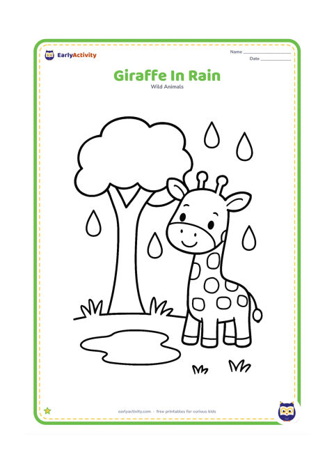 Colouring page: A cheerful giraffe stands beneath a broad leafy tree during a gentle shower. Draw large raindrops, a puddle, a few grass tufts and a small umbrella-shaped tree canopy.