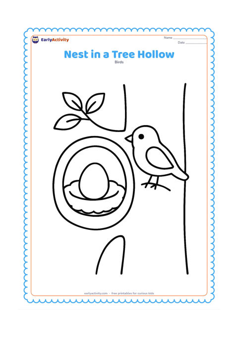 Colouring page: A nest with one egg sits inside a large tree hollow, while a small bird perches on the tree trunk. Include a few simple leaves above the hollow.