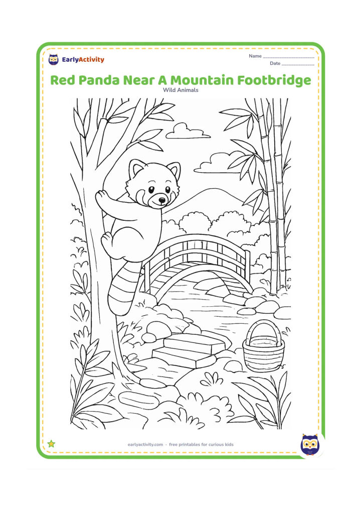 Colouring page: Draw a red panda climbing a tree beside a small traditional mountain footbridge over a stream. Include bamboo, stone steps, forest plants, distant hills and a woven basket resting near…