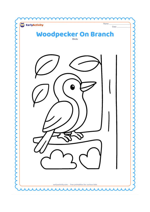Colouring page: A cheerful woodpecker perches on a low branch facing right. Surround it with three large leaves, a simple tree trunk and a few rounded woodland plants.