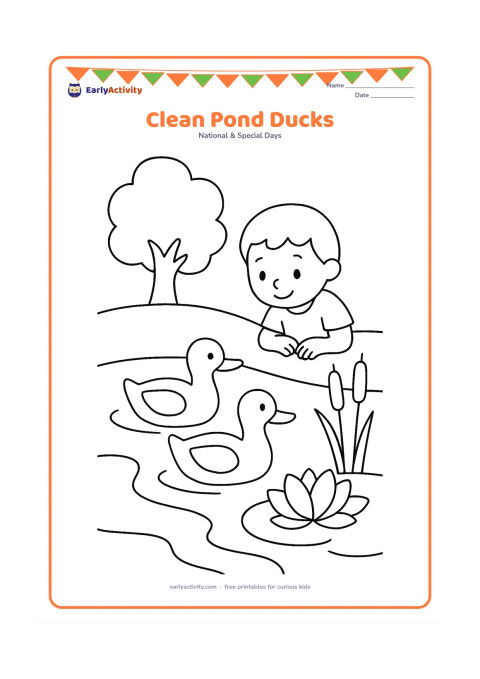 Colouring page: Draw two ducks swimming in a clean pond beside a large water lily and reeds. Include a child watching from the grassy bank and a tree with a few wide branches.