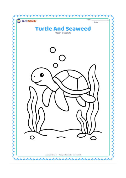 Colouring page: Draw a sea turtle swimming between two large waving seaweed plants, with a sandy seabed and a few round bubbles.