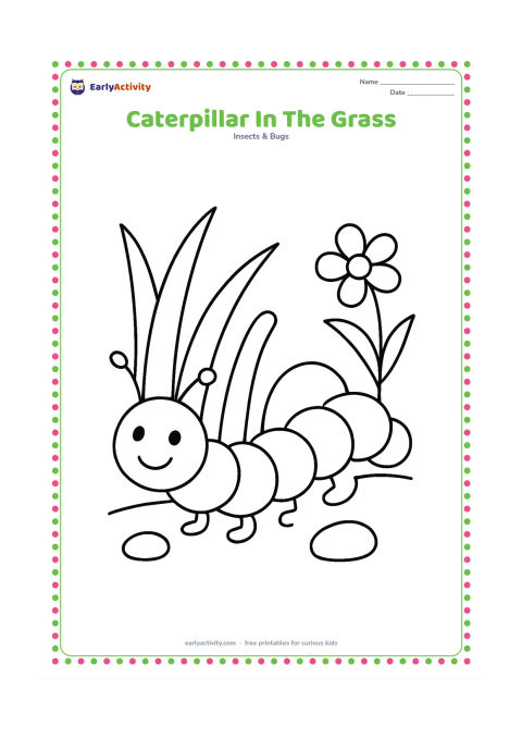 Colouring page: Draw a cheerful caterpillar moving through three large blades of grass, with its body curved gently upward. Add one round pebble and one simple flower in the background.