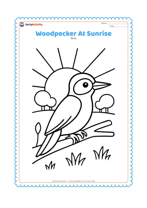 Colouring page: A woodpecker stands on a branch in front of a rising sun, with two distant rounded trees and a few simple grasses below. Show the bird in clear side view.