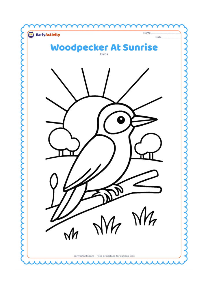 Colouring page: A woodpecker stands on a branch in front of a rising sun, with two distant rounded trees and a few simple grasses below. Show the bird in clear side view.