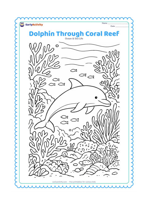 Colouring page: Draw one dolphin swimming through a detailed coral reef passage with branching coral, sea fans, seaweed, shells, and a group of small fish. Use a clear foreground, middle ground, and…