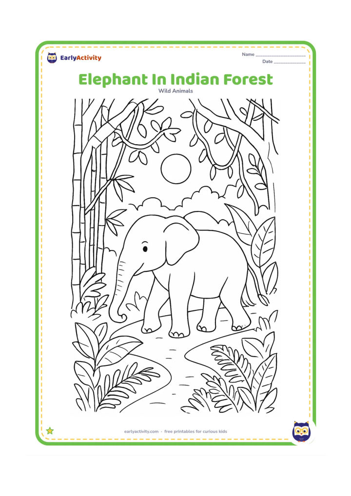 Colouring page: Draw an Asian elephant walking through an Indian forest with broad, relatively small ears. Add bamboo, sal leaves, vines, ferns and a sunlit path.