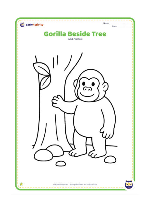 Colouring page: A friendly gorilla stands beside a wide tree trunk and touches it with one hand. Include two large leaves and a few rounded stones on the ground.