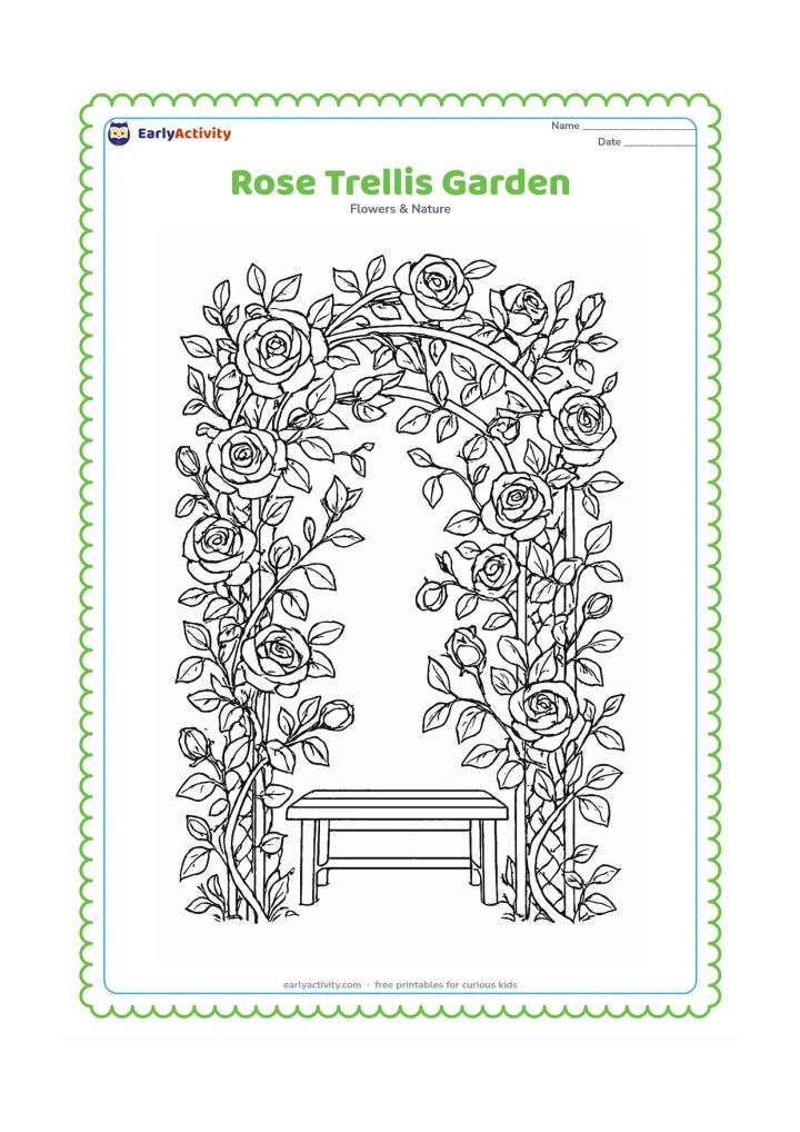 Colouring page: Draw climbing roses winding across a garden trellis, with many overlapping blooms, buds, curling stems, leaves, prickles, and a small bench beneath the arch.