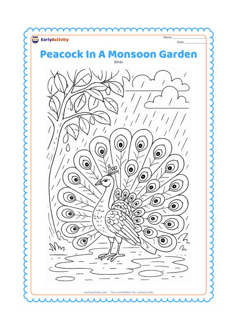 Colouring page: A peacock displays his tail beneath a leafy tree during a monsoon shower. Include layered clouds, rain lines, puddle reflections, wet leaves, and many eye-like train marks.