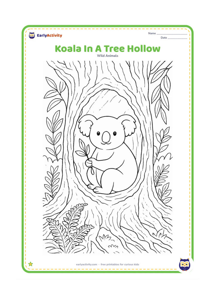Colouring page: Draw a koala sitting inside a large hollow in an old eucalyptus trunk, holding a leafy twig. Show the rough tree opening, curling bark, roots, ferns and layered forest plants.