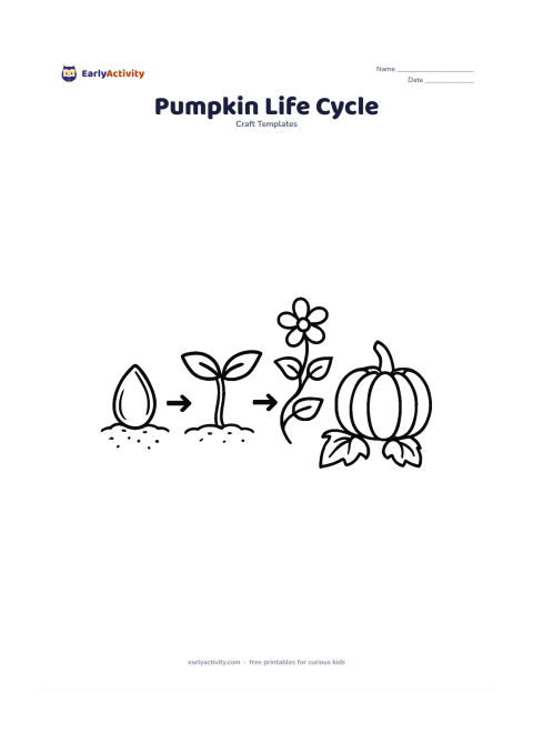 Worksheet: Show four large connected craft panels from left to right: a pumpkin seed in soil, a sprout with two leaves, a flowering vine, and a mature pumpkin with leaves. Use arrows made only from…