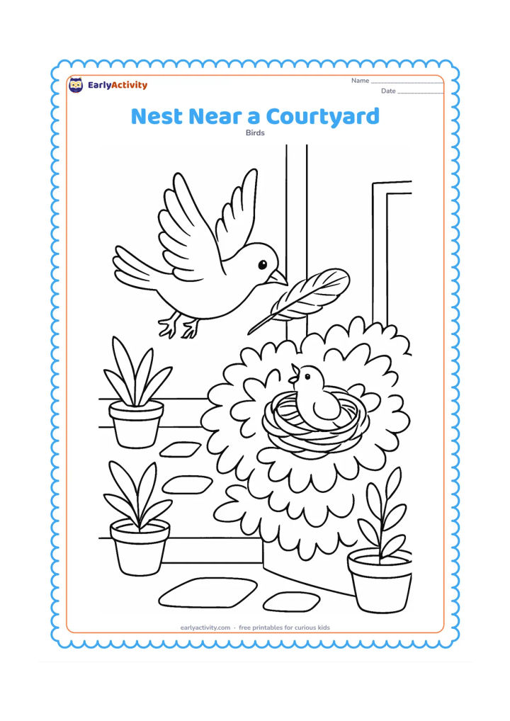 Colouring page: A parent bird carries a feather toward a nest tucked in a courtyard shrub. Include a low veranda edge, potted plants and a few simple paving shapes behind the shrub.