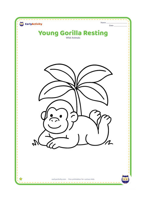 Colouring page: A small gorilla lies on its tummy beneath one large leafy plant, with its head lifted and feet behind it. Use a simple patch of grass as the setting.