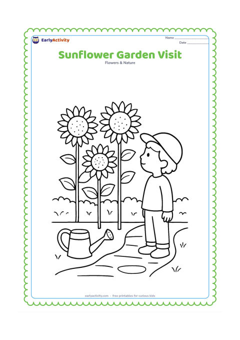 Colouring page: Draw a child in simple outdoor clothing standing beside three tall sunflowers and looking at them. Add a garden path, a watering can and a low hedge, without facial or clothing details…