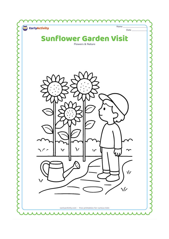 Colouring page: Draw a child in simple outdoor clothing standing beside three tall sunflowers and looking at them. Add a garden path, a watering can and a low hedge, without facial or clothing details…