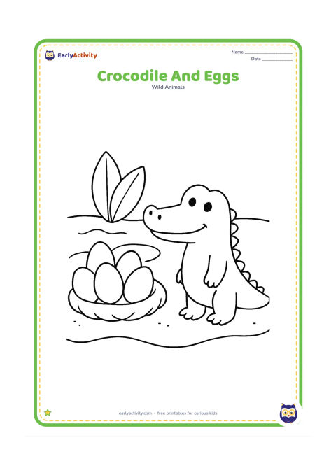 Colouring page: Draw a crocodile beside a simple nest containing five large eggs on a sandy riverbank. Add two broad leaves and a small curved patch of water behind the nest.
