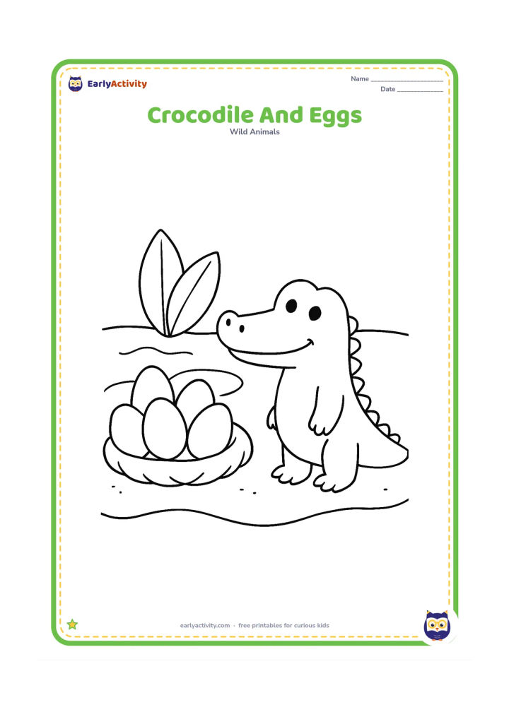 Colouring page: Draw a crocodile beside a simple nest containing five large eggs on a sandy riverbank. Add two broad leaves and a small curved patch of water behind the nest.