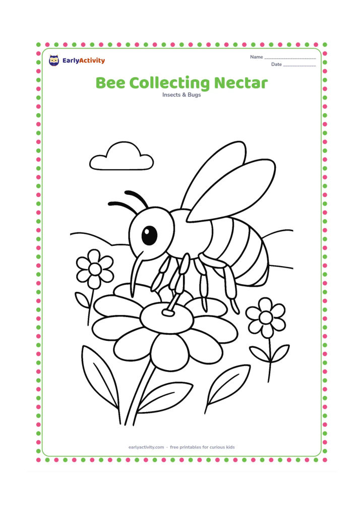 Colouring page: A side-view bee lands on a wide flower and lowers its long proboscis toward the centre. Add two nearby flowers, a few leaves and a light garden horizon.