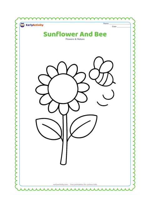 Colouring page: A large sunflower stands upright while one friendly bee flies beside a petal, with a few simple curved flight marks. The bee must have no facial details or text.