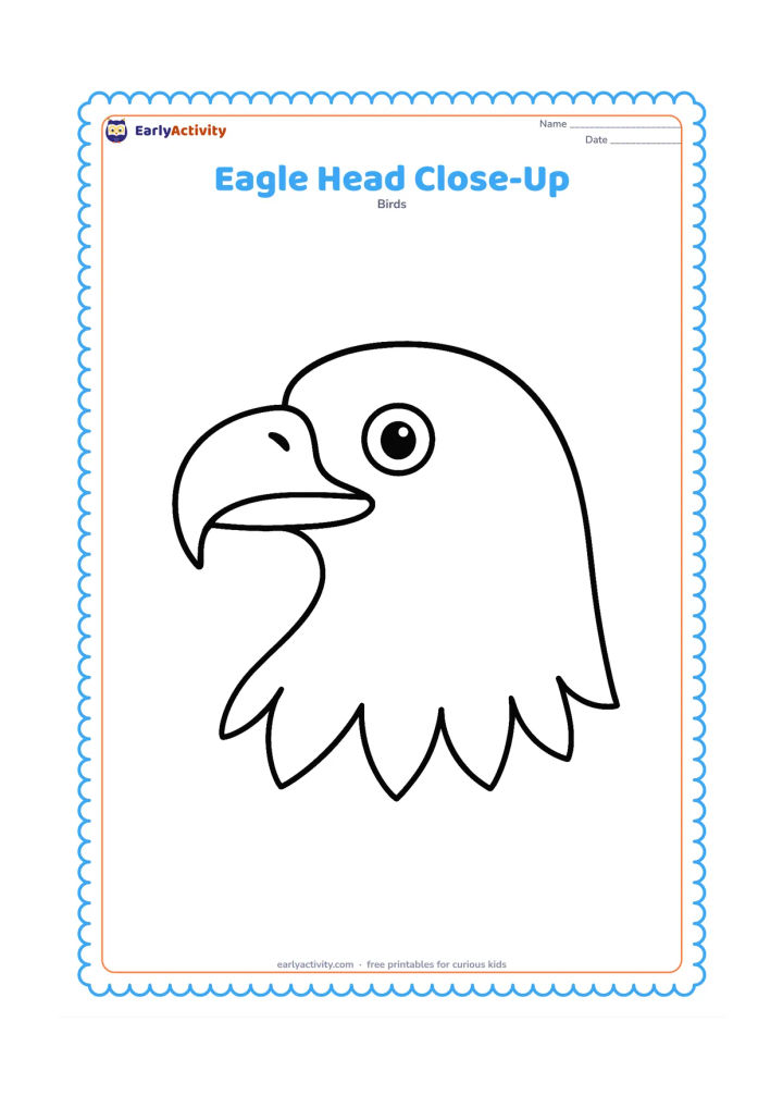 Colouring page: Draw one friendly eagle head facing left, with a hooked beak, round eye, smooth forehead and broad neck feathers. Leave a large empty area around the head with no background objects.