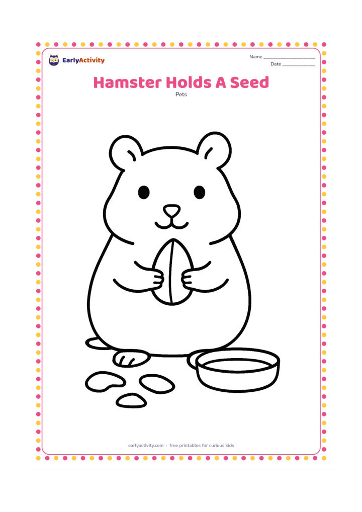 Colouring page: A hamster sits upright while holding one large seed in its front paws. Place it beside a low dish and three simple bedding pieces.
