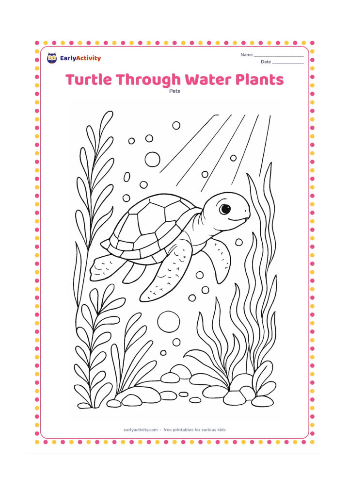 Colouring page: A pet turtle swims diagonally through clear water between layered aquatic plants, curling stems, bubbles, pebbles and shafts of light from above. Show its shell pattern and all four legs…