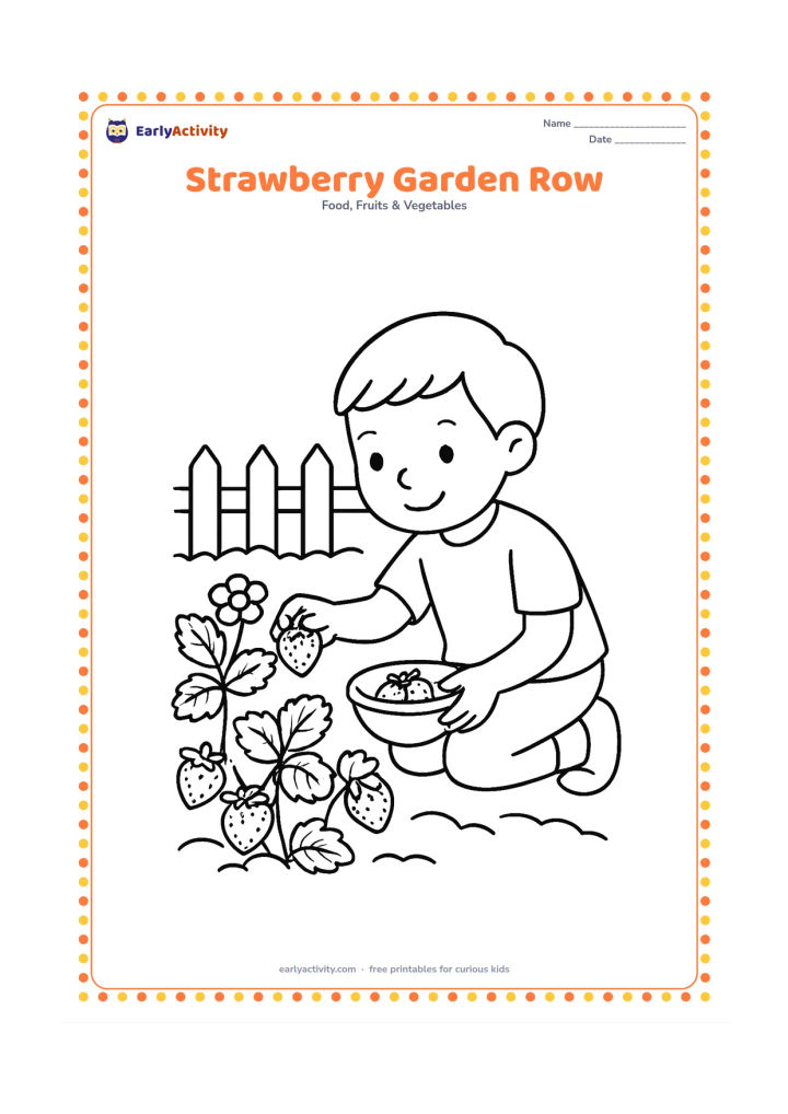 Colouring page: A child kneeling beside a garden row of strawberry plants, placing one strawberry into a bowl, with leaves, flowers, and a small garden fence.