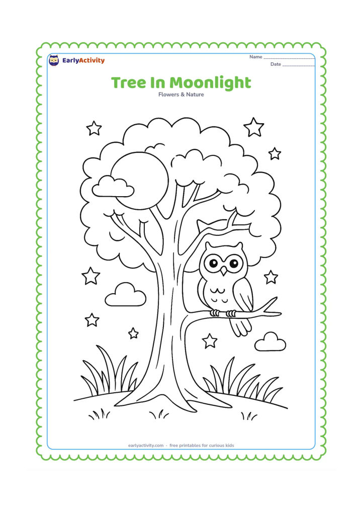 Colouring page: Draw a large tree at night with branching limbs, a bright moon behind part of the crown, stars, soft clouds, an owl perched on a branch, and grasses in the foreground. Keep the scene…