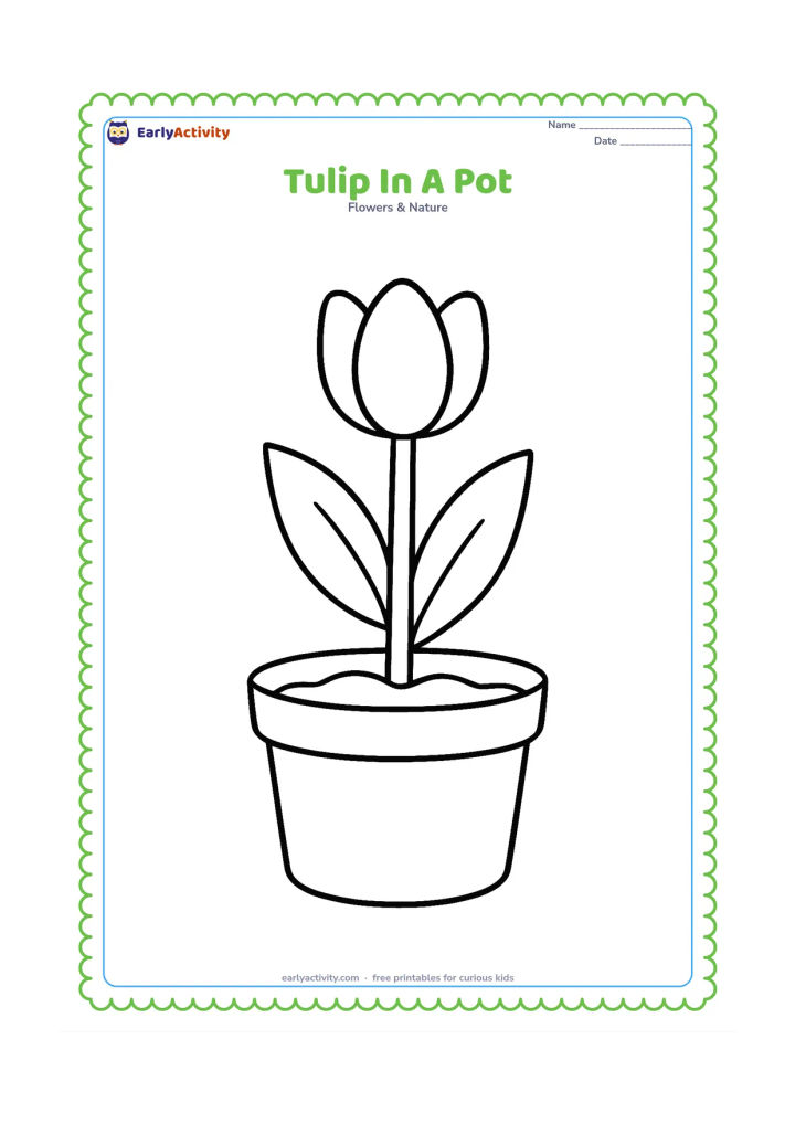 Colouring page: Draw one tall tulip growing from a wide flowerpot filled with a simple curved soil line. Include a thick stem and two large leaves, with no extra decoration on the pot.