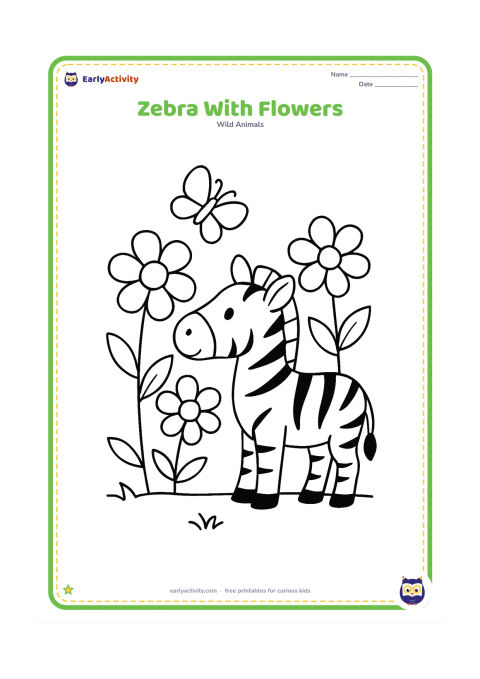 Colouring page: Draw one zebra standing beside three oversized wildflowers, with its nose near the tallest flower. Add a low grassy ground line and one butterfly with plain wings.