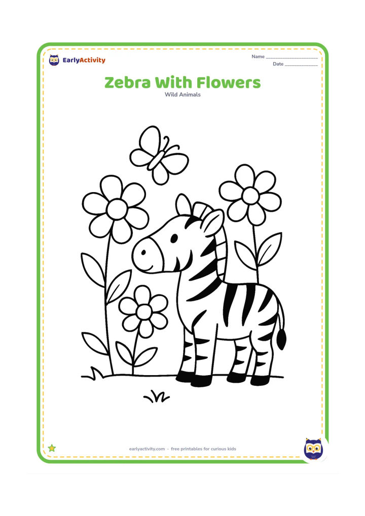 Colouring page: Draw one zebra standing beside three oversized wildflowers, with its nose near the tallest flower. Add a low grassy ground line and one butterfly with plain wings.
