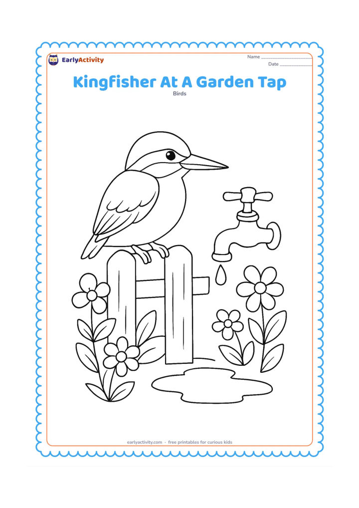 Colouring page: A kingfisher sits on a garden fence near an outdoor water tap, with a small puddle beneath the tap and flowering plants around the fence. The bird looks toward the puddle.