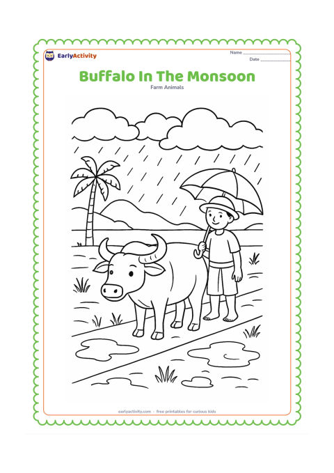 Colouring page: Draw a buffalo standing beside a flooded field during monsoon weather, with a farmer holding an umbrella on a raised path. Add palm trees, puddles and layered rain clouds.
