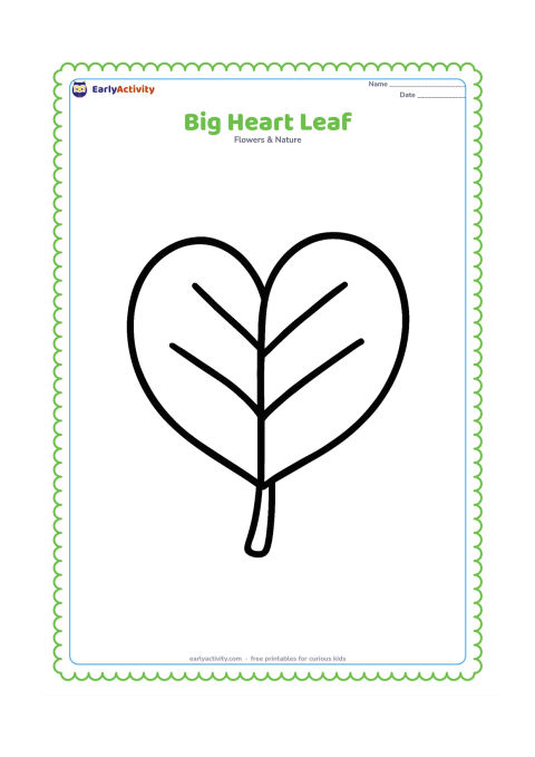 Colouring page: A single large heart-shaped leaf with a clear stem and a few thick, simple veins, centered on the page with plenty of open space.