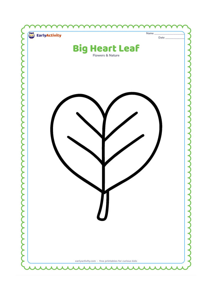 Colouring page: A single large heart-shaped leaf with a clear stem and a few thick, simple veins, centered on the page with plenty of open space.