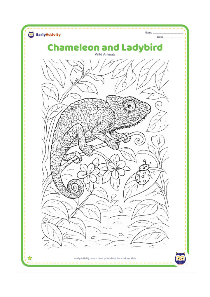 Colouring page: Draw a detailed chameleon moving carefully across a flowering shrub while a small ladybird rests on a separate leaf nearby. Set the scene in a cool early-morning woodland clearing with…