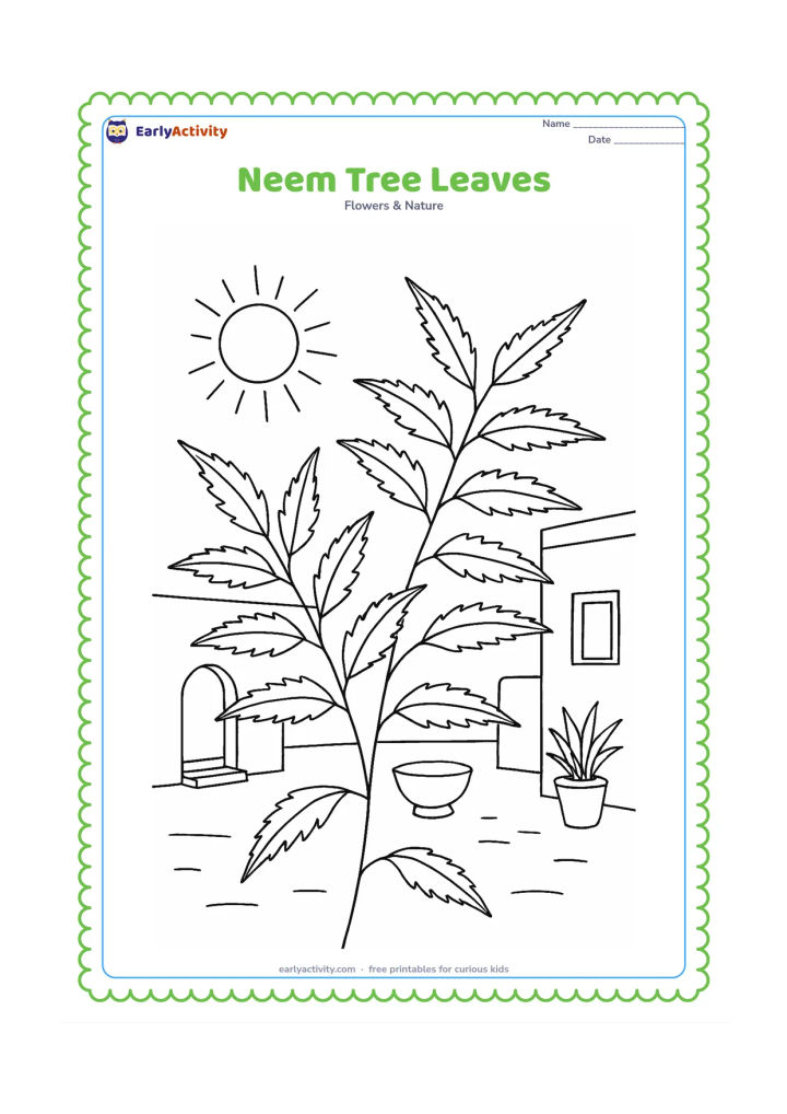 Colouring page: Several neem leaflets grow along two curved central stems, with a few small branches and a sunny Indian courtyard in the background.
