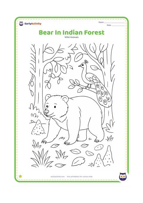 Colouring page: An Indian sloth bear walks through a forest with sal trees, termite mounds, grasses, fallen leaves, vines, and a peacock perched safely on a low branch.