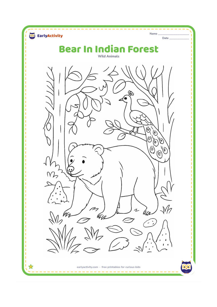Colouring page: An Indian sloth bear walks through a forest with sal trees, termite mounds, grasses, fallen leaves, vines, and a peacock perched safely on a low branch.