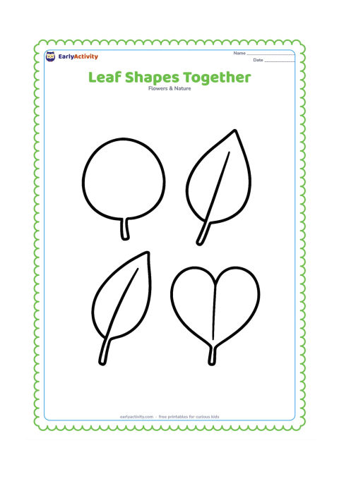 Colouring page: Four large leaves with clearly different silhouettes, round, long, pointed and heart-shaped, are arranged in a neat group with their stems visible.