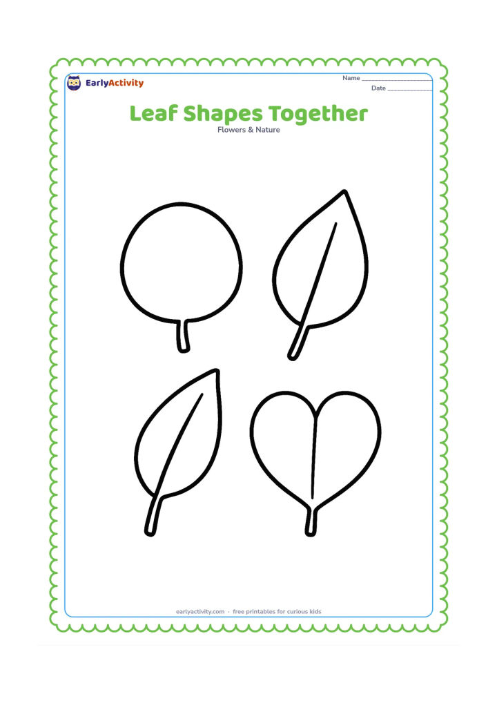 Colouring page: Four large leaves with clearly different silhouettes, round, long, pointed and heart-shaped, are arranged in a neat group with their stems visible.