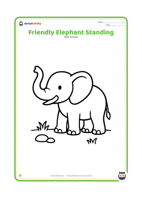 Colouring page: Draw one friendly elephant standing in side view with a raised trunk, large ears, clear tusks and four sturdy feet. Leave the ground nearly empty with only a few rounded stones and tufts…
