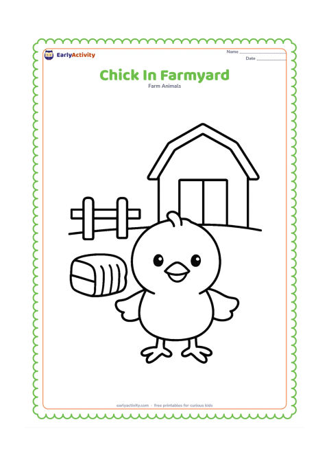 Colouring page: Draw a chick standing in a simple farmyard beside a small hay bale and a low fence. Add one large barn shape in the distance without any signs or lettering.