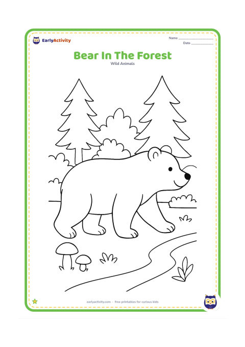 Colouring page: A friendly brown bear walks through a forest clearing with tall pine trees, leafy shrubs, mushrooms, and a winding path. Show the bear in profile with all four legs visible.