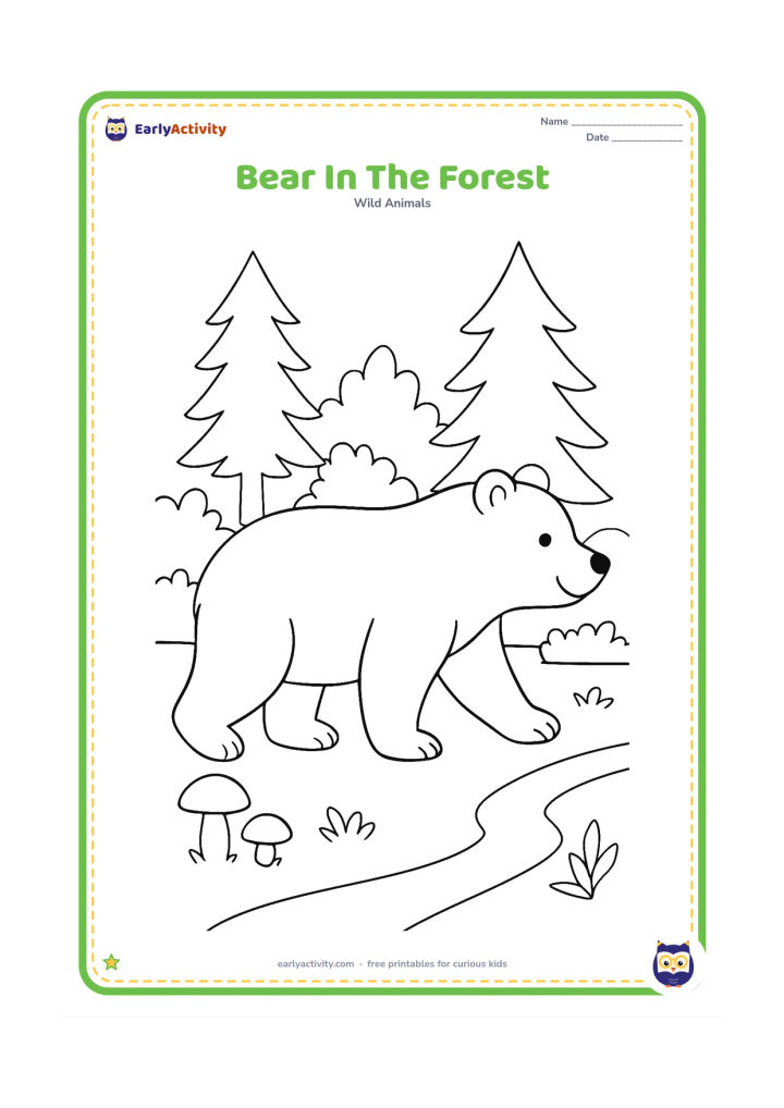 Colouring page: A friendly brown bear walks through a forest clearing with tall pine trees, leafy shrubs, mushrooms, and a winding path. Show the bear in profile with all four legs visible.